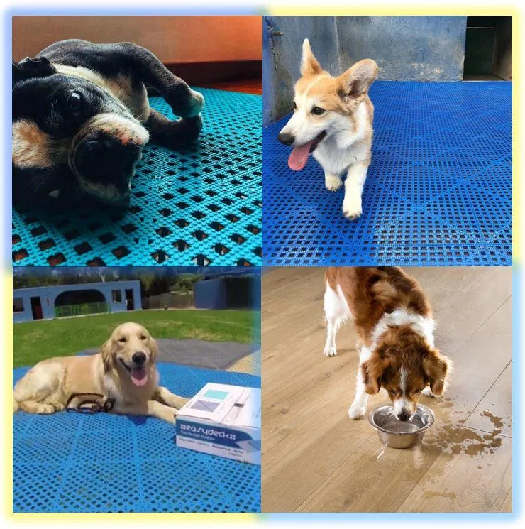 Easydeck Aqua Ideal para tus mascotas Acento Suministros Easydeck Aqua para uso en centros veterinarios Acento Suministros